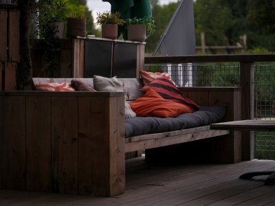 Waarom donker rotan dit voorjaar niet meer werkt