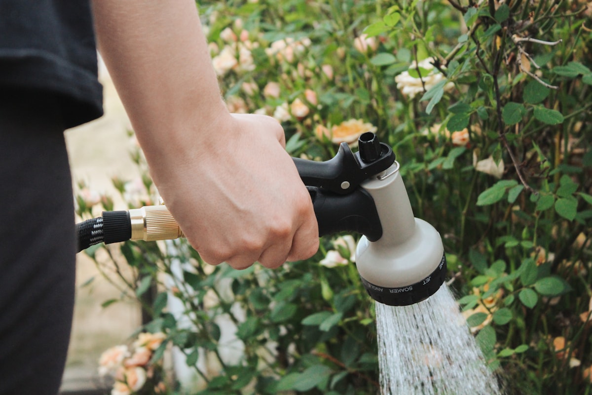 Je tuin overleeft de droge zomer met vijf ingrepen
